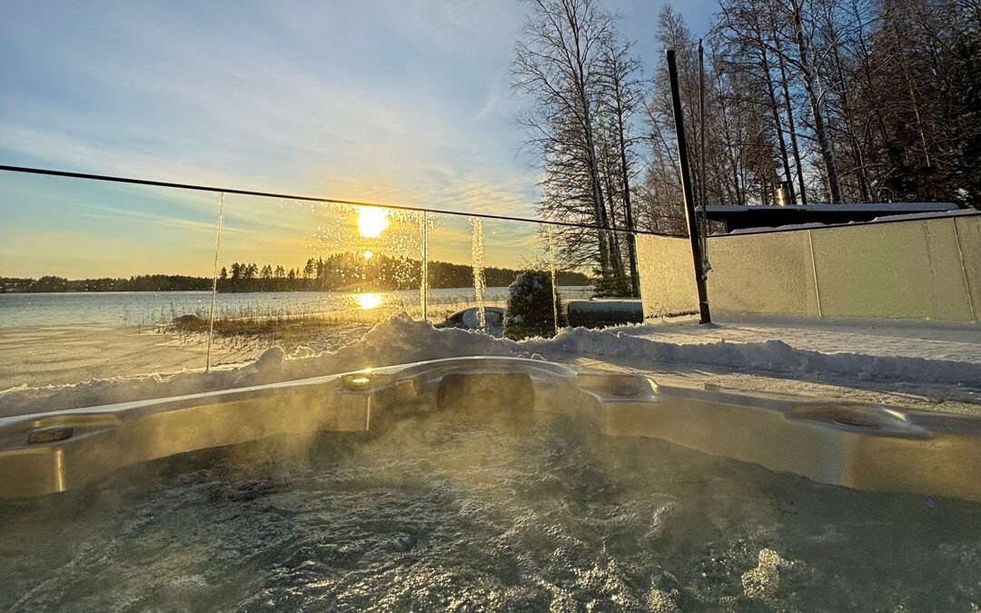 Finspection tarkastuspäivät 2025