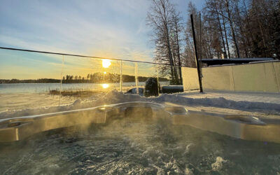 Finspection tarkastuspäivät 2025